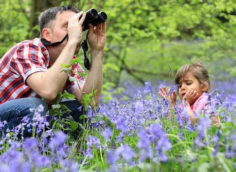A father looking through binoculars whilst his toddle daughter sits in a bluebell meadow