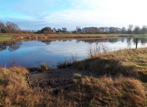 Ripon City Wetlands, Yorkshire Wildlife Trust