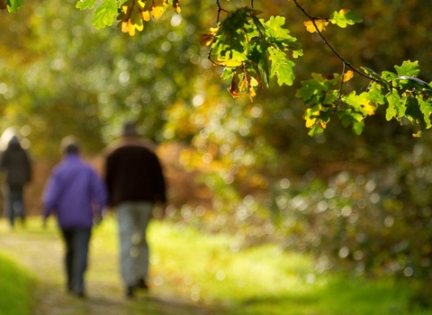 Couple walking down path through woodland