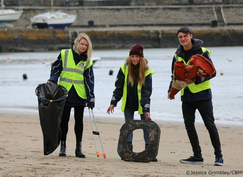 Litter pick