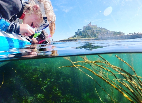 Learning about the underwater life