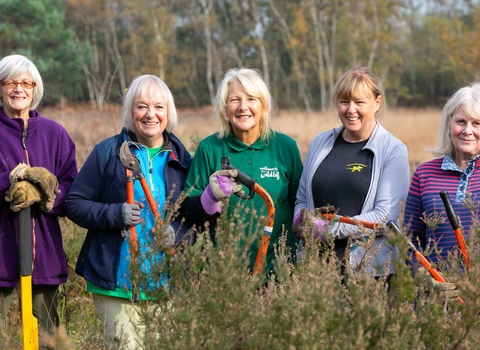 volunteers in Surrey