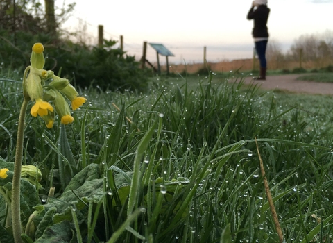 idle valley nature reserve