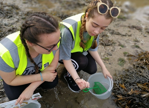 Two girls rockpooling