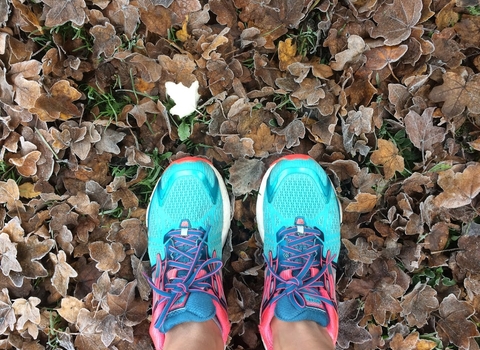 trainers in frost