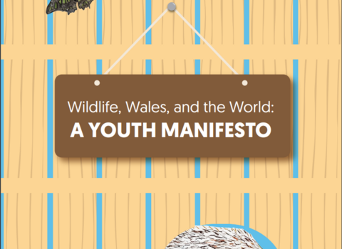COP15 Wildlife, Wales, and the World: A Youth Manifesto cover