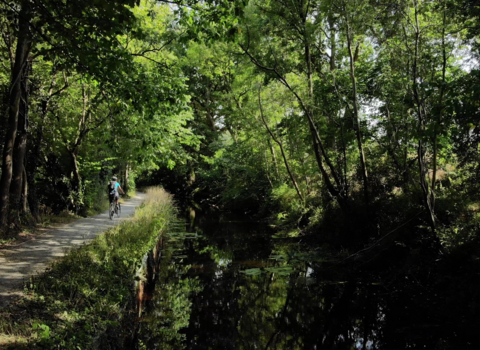 Its natural beauty and the flat, easy terrain of the towpath makes The Monty popular amongst walkers and cyclists; these activities are very low impact 
