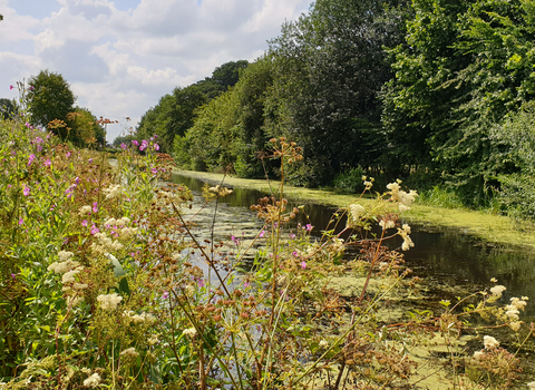 Montgomery Canal 