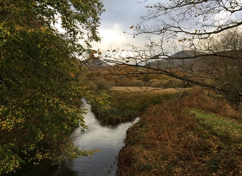 River Credit Alicia Leow-Dyke