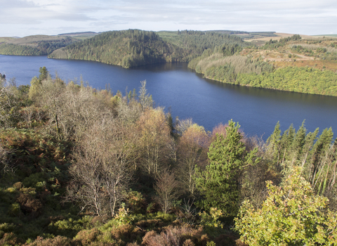 Swansea landscape