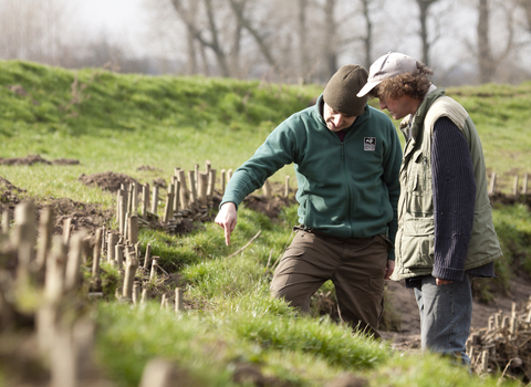 Land management advice