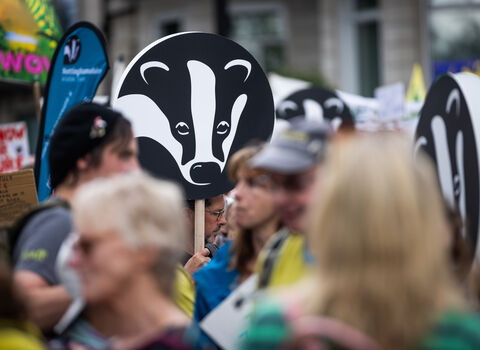 A Wildlife Trusts banner is carried in a crowd of people
