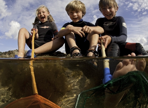 Children rockpooling