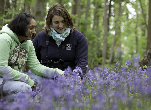 Two women kneel in the bluebells beneath a woodland canopy