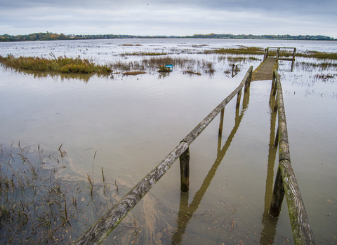 Grassland which is completely underwater except for the remnants of a bridge