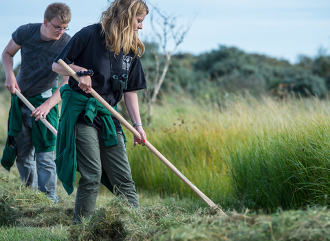 2 members of staff rake road edges