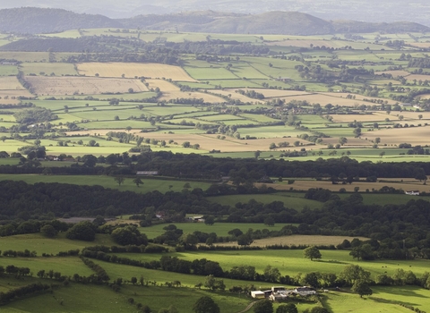 Mosaic of fields/agricultural land