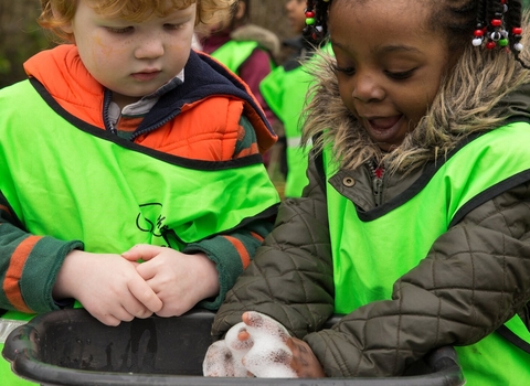 Bellenden Nursery Centre Wildlife Garden 